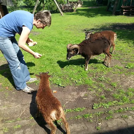Steinbruch * فيتزيندورف