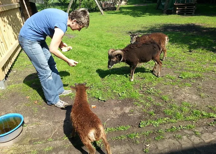 Steinbruch * Wietzendorf